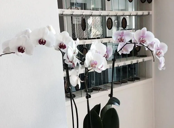 Ambasciatori Otel 3*