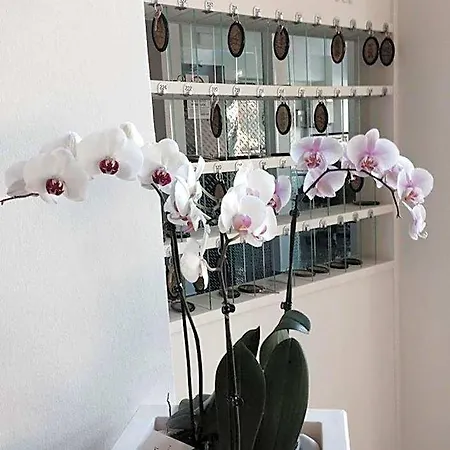 Ambasciatori Hotel 3*