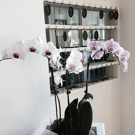 Ambasciatori Отель 3*